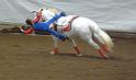 Trick Riding Competition A